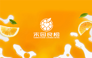 某良橙——鸡西LOGO设计